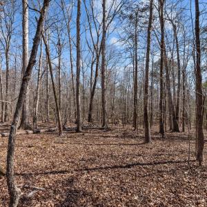 17-web-or-mls-P1023089