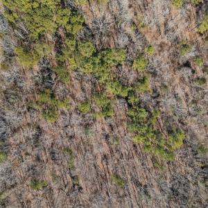 4-web-or-mls-DJI_20250224132033_0025_D