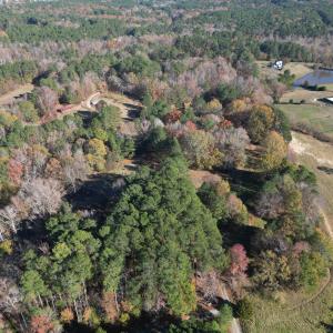 dji_fly_20241125_140246_137_173257007324