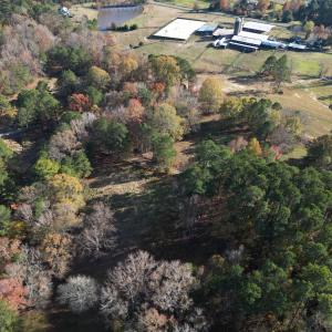 dji_fly_20241125_142310_168_173257002422