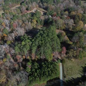dji_fly_20241125_141350_154_173257004266