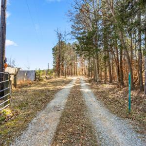 Driveway Looking Towards Paved Road