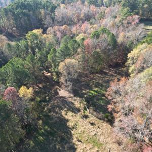 dji_fly_20241125_143510_176_173257002074