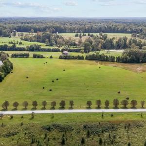 3-web-or-mls-DJI_20241004133313_0214_D