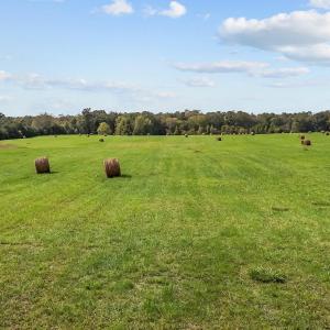 16-web-or-mls-DJI_20241004133539_0227_D