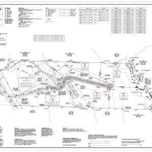 RECENT PLAT RAINFOREST