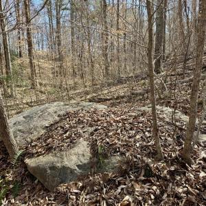 Boulder near creek