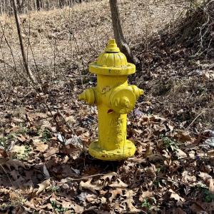 Fire Hydrant on site