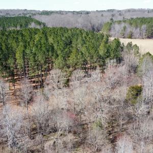 dji_fly_20250301_123346_258_174085087849