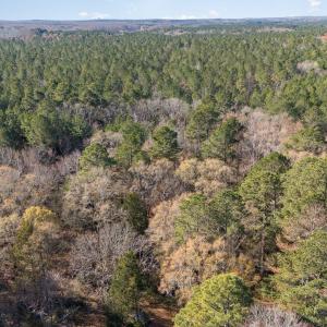 001_dji_20241206084523_0050_d-edit_72