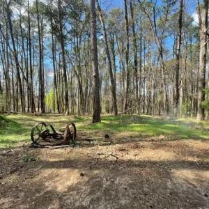 2414 Wooded