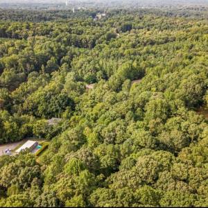 1157 Hillsboro Photo 3