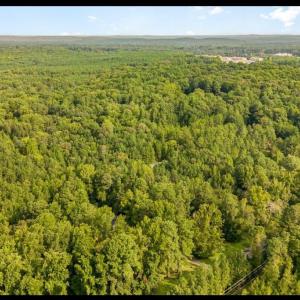 1157 Hillsboro Photo 5