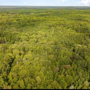 1157 Hillsboro Photo 8