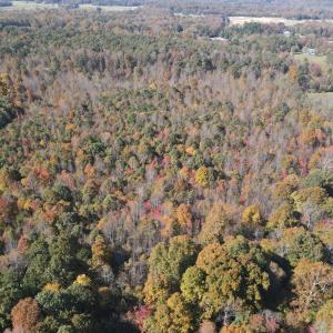 DJI_0298