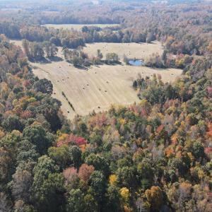 DJI_0295