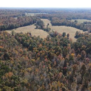 DJI_0289