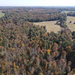 DJI_0288