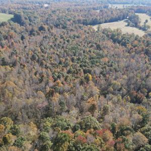 DJI_0286