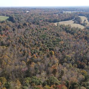 DJI_0287