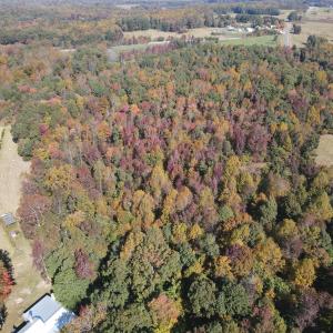 DJI_0304