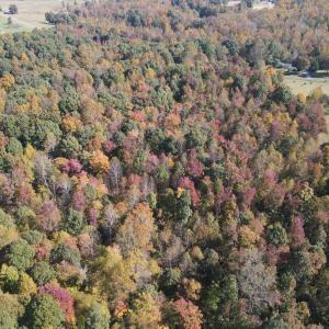 DJI_0311