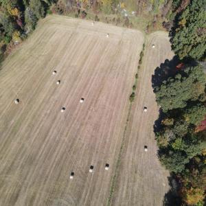 DJI_0310