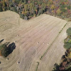 DJI_0309