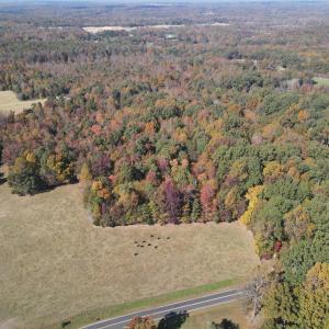 DJI_0308