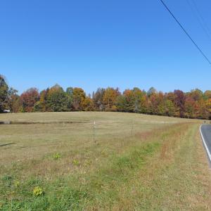 DSC00878