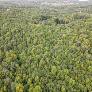 007_dji_0013-edit