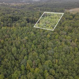 012_dji_0012-edit-edit_858