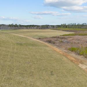 Roy Tharrington Rd