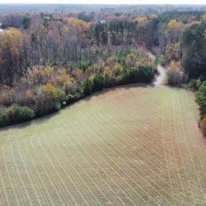 Field View