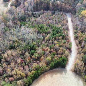 dji_fly_20231117_113304_122_170023879288
