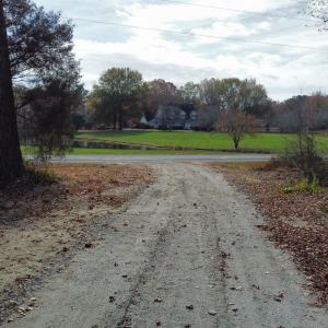 Road View