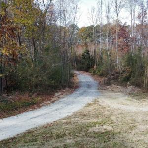 Path