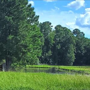 Barbour Farms