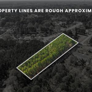 3-web-or-mls-Parcel 01-3 (3) (1)
