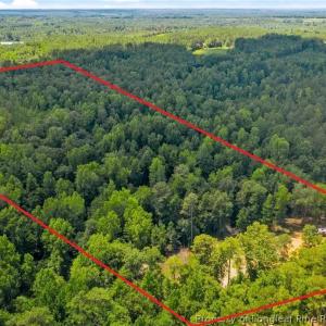 3905-Mclean-birdview-1