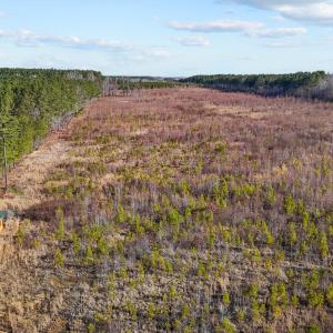 7-web-or-mls-DJI_20250311094651_0762_D