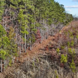 8-web-or-mls-DJI_20250311094751_0766_D