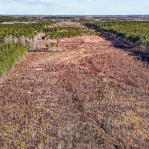 9-web-or-mls-DJI_20250311094804_0767_D