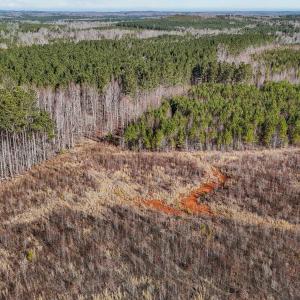 11-web-or-mls-DJI_20250311094844_0769_D