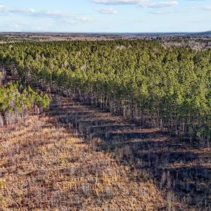 12-web-or-mls-DJI_20250311094855_0770_D