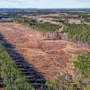 15-web-or-mls-DJI_20250311094958_0773_D