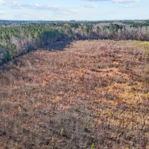 16-web-or-mls-DJI_20250311095032_0774_D