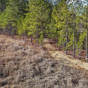 17-web-or-mls-DJI_20250311095108_0775_D