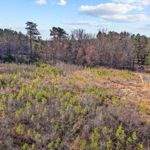 18-web-or-mls-DJI_20250311095125_0776_D