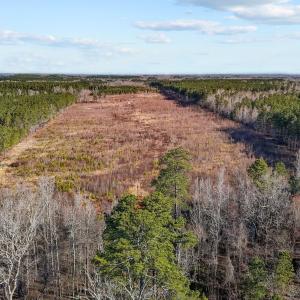 25-web-or-mls-DJI_20250311095357_0782_D